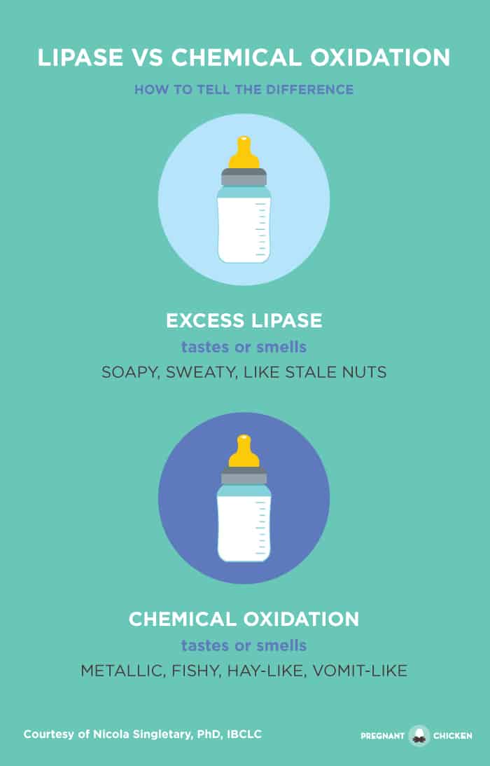 My Breast Milk Smells Gross: Lipase vs Chemical Oxidation