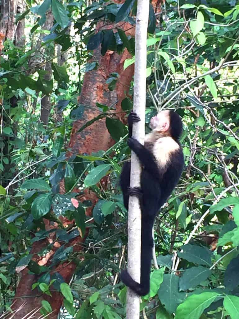 Is Costa Rica Kid Friendly?