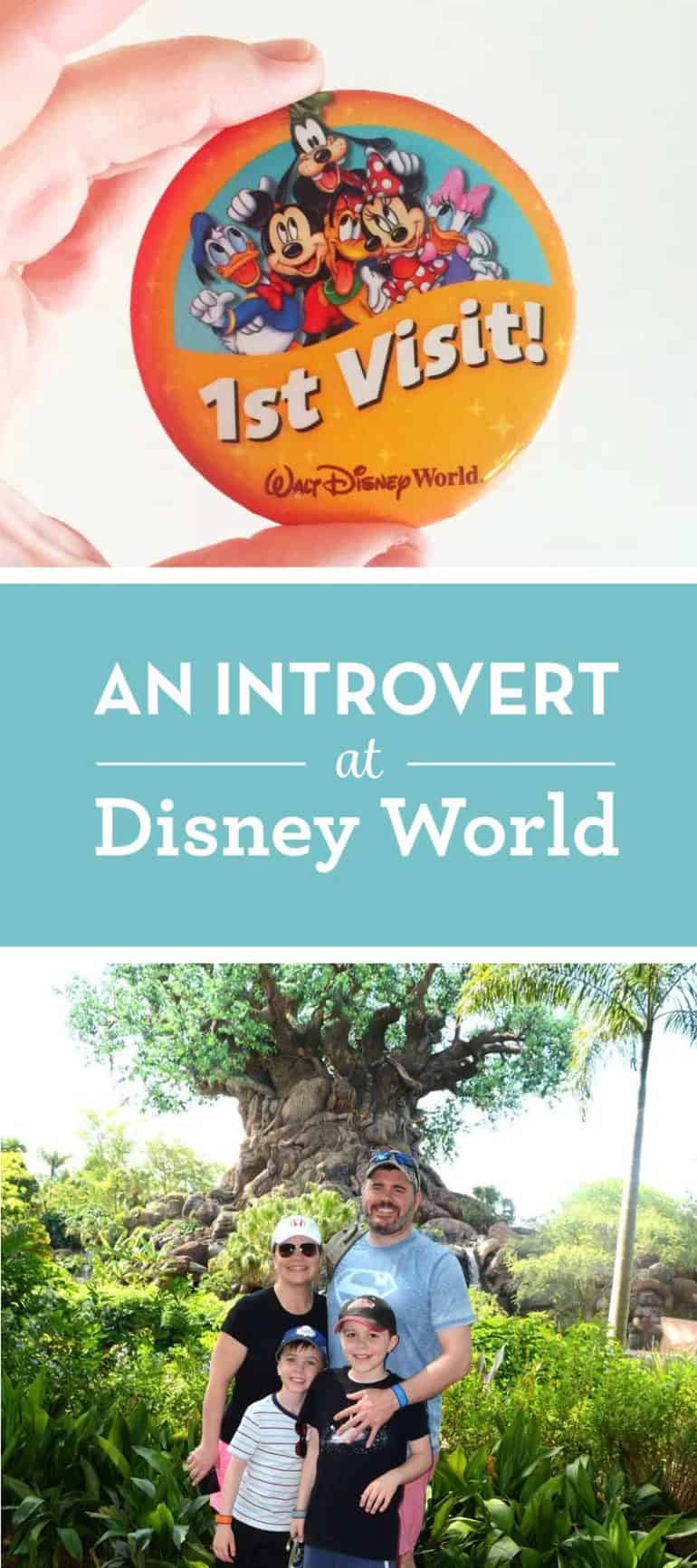 An Introvert at Disney World