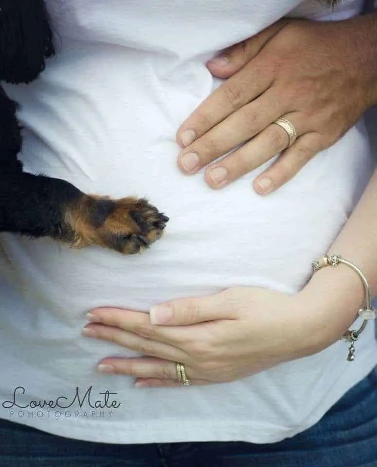 Top 50 Maternity Photoshoot Ideas