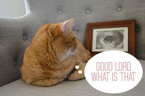 60 Cool Ways to Announce Your Pregnancy