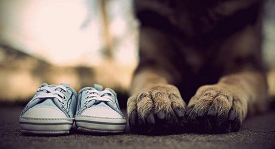 60 Cool Ways to Announce Your Pregnancy