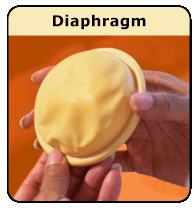 The Diaphragm