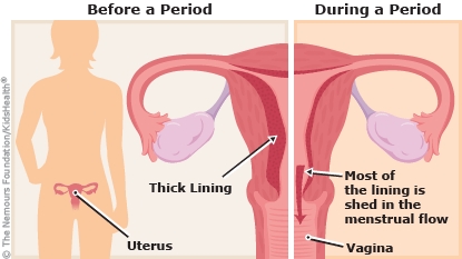 All About Periods