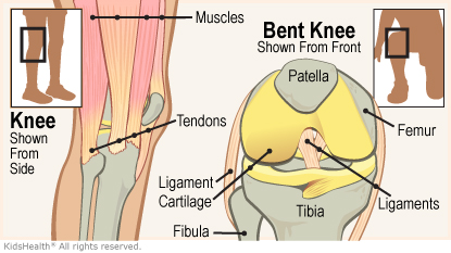 Knee Injuries