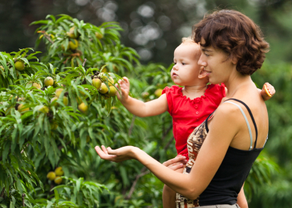 Babies' Language Development from 9-12 Months