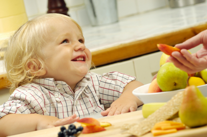 Meal Suggestions for Toddlers