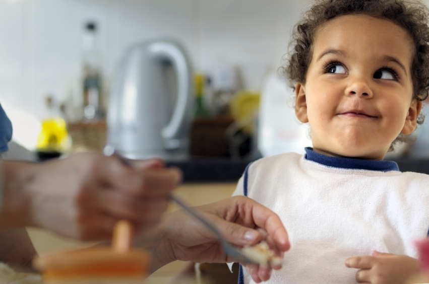Feeding Jobs for Parents and Toddlers