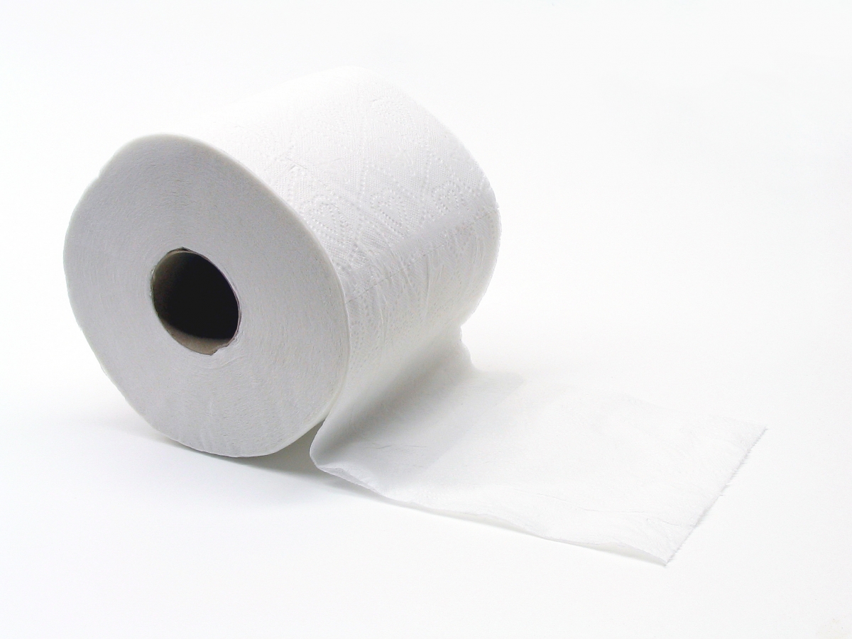 Is My Toddler Ready for Toilet Learning?