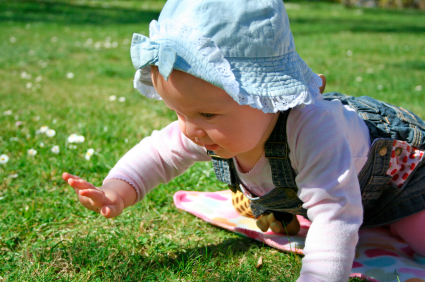 Physical Development of Toddlers From 12-18 months