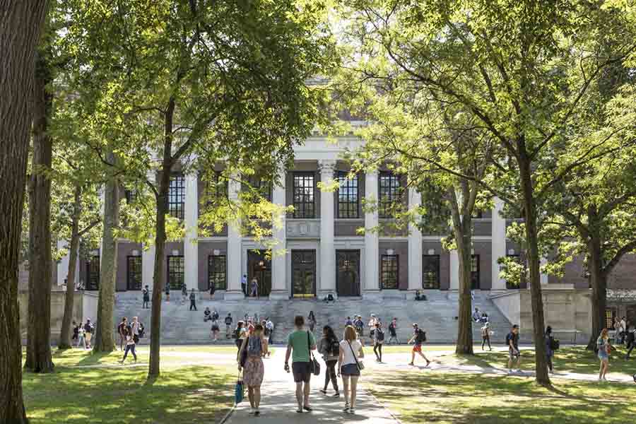 How to Celebrate a Virtual Graduation This Year