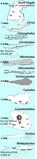 Types of Clouds