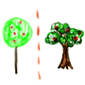 The Differences Between Bright and Gifted