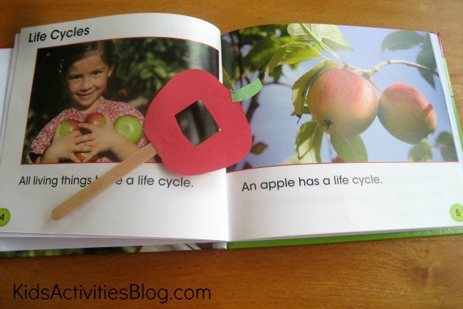 5 Activities To Practice Sight Words